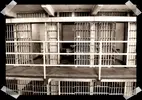 capone-cell-2.webp