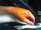 220px-RFID_hand_2.webp