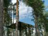 mirrored-treehuouse.jpg