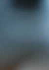crop_001_IMG_3508.webp