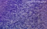 pieces_014b.webp