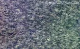 pieces_016b.webp