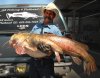 arizona-catfish.jpg