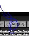 Capture.webp
