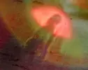 DSCF0389 (16).webp