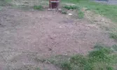 20150627_204612.webp