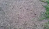 20150627_204601.webp