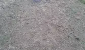 20150627_204556.webp