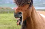 10301