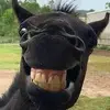 10309