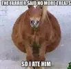 10421