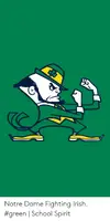 notre-dame-fighting-irish-green-school-spirit-53380929.webp