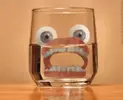 FALSE TEEF.webp