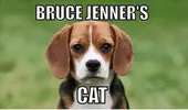EvcTIP8XcAURp9a.webp