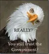 !cid_lhewRfl1sSyKT1yQYaru.webp
