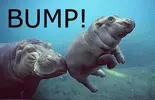 ngpftmea.webp