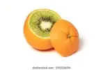 1639425869603.webp