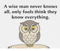 a-wise-man-never-knows-all-only-fools-think-they-10420196.png