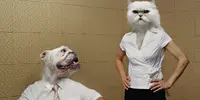 martian the cat lol.webp