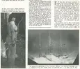 patagonian giants 1.jpg