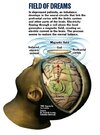 brain 14.jpg