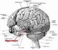 mind 7.jpg