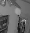 Screenshot_20220223-152727_YouTube.webp