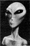 GREY_1.jpeg.webp