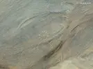 1653339685942.webp