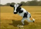 1655323604768.png