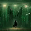 1656542112374.webp