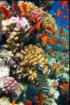 Screenshot_20220808-230430.webp
