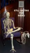waiting for nibiru.webp