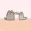pet.webp pet.webp