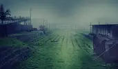 1686528873699.webp