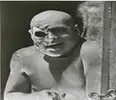 Picture2.jpg