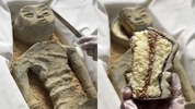 Viral-alien-corpse-shown-to-Mexican-government-inspires-cake-remake.png