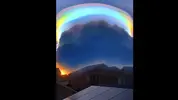 1699977082406.webp