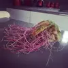 1701352373126.png