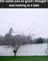 1000012177.webp
