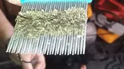 giphy (83).gif giphy (83).gif