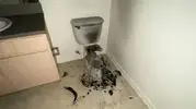 1706856013935.png