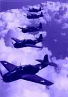 1707497488616.webp 1707497488616.webp