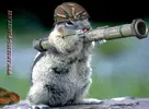 Squirrel_Army-RocketLauncher-3.webp