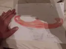 UFO 5-16-2022.webp UFO 5-16-2022.webp