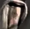 1729090390849.webp