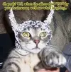 1732823995912.webp