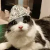 1732824177776.webp