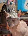 1732824257387.webp