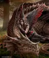564196_451468918226702_964844844_n.webp
